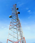 30 Metre GSM Anteni Sahte Palmiye Ağacı Cep Telefonu Kulesi