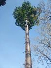 Telekom Palmiye Ağacı 10m Yükseklik Kamuflaj Hücre Kulesi